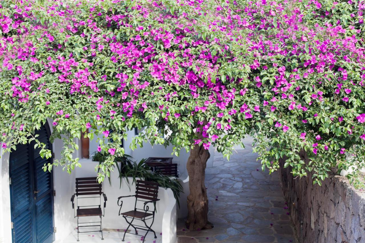 Quartara Boutique Hotel Panarea Exterior foto